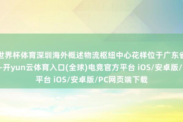 世界杯体育深圳海外概述物流枢纽中心花样位于广东省深圳市龙岗区-开yun云体育入口(全球)电竞官方平台 iOS/安卓版/PC网页端下载